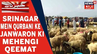 J&K News: Srinagar Mein Qurbani Ke Janvaron Ki Kharidari Dheemi Dikhayi De Rahi Hai