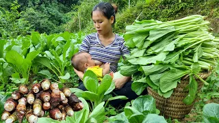 Fullvideo: 120 days of harvesting green vegetables, star fruit, and papaya to sell at the market