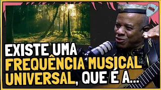 NOTAS MUSICAIS na NATUREZA