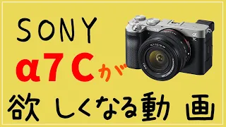 SONY α7C発表！魅力的でわくわくするカメラ。バリアングル液晶付きのソニーフルサイズミラーレスカメラ。