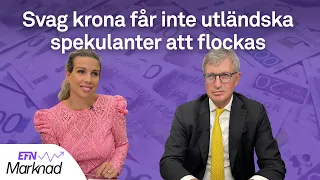 Fyra branscher där uppköp väntar | EFN Marknad 8 september