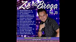 CD DE ZÉ DO BREGA JULHO 2021 COMPLETO