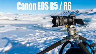 Canon EOS R5 R6 Kamera - Meinung von Stephan Wiesner vs. Nikon Z6 und Sony A7 III