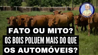 OS BOIS POLUEM MAIS DO QUE OS AUTOMÓVEIS?