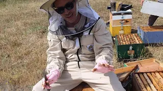 Προετοιμασία των μελισσιών 21 ημέρες πρίν τα θυμάρια. Μάιος 2021