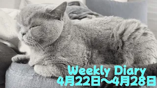 【4月22日-4月28日】Weekly Diary(ししゃもの週間日記)【1週間まとめ】