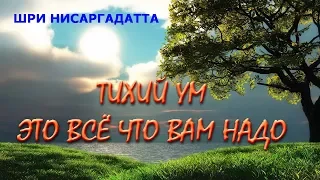 Тихий ум это всё что вам надо [Шри Нисаргадатта, НикОшо]