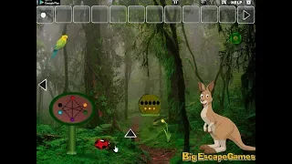 Big Kangaroo Land Escape Walkthrough [BigEscapeGames]