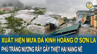 Xuất hiện mưa đá kinh hoàng ở Sơn La phủ trắng khắp núi đồi, nương rẫy gây thiệt hại nặng nề