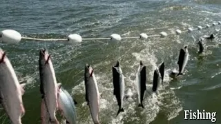 Everyone should watch this Fishermen video Amazing Automatic Net Fishing Line Catching Big Fish