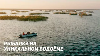 ЛОВЛЯ В ПРИГЛЯДКУ. Рыбалка на уникальном водоеме. Рыбий жЫр. Дагестан.