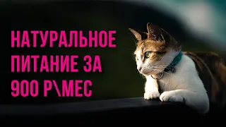 Корм для кошек с мочекаменной болезньюНатуральное питание для кошек Корм для кошек с МКБ