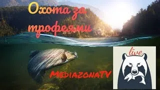 РР4 Русская Рыбалка 4  Поплавочка.Старый Острог.ищем фарм.Прокачка с нуля