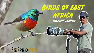 Birds of East Africa by Clement Francis M with Mohan Thomas & Amit Rane