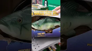 Big Mouth Billy Bass the singing fish #short #amazing #satisfying #toys