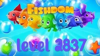 completing level 2837 in fishdom