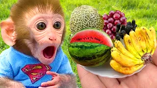 Monkey BonBon Go Shopping and Eat Fruit Ice Cream with Puppy - Crew BonBon