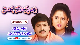 Endamavulu | 25th April 2024 | Full Episode No 176 | ETV Telugu