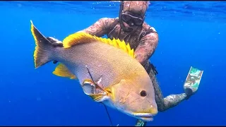Indonesia Travel & Spearfishing: THE QUEST 3!!!!