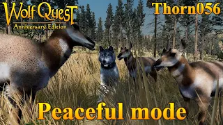 WolfQuest in Peaceful mode? || WolfQuest Anniversary Edition