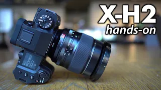 Fujifilm X-H2 HANDS-ON review: first looks with results