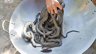 Wow Best Recipe Snake Cooking Soup