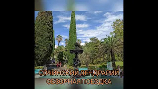 Обзор дендрария в Сочи. Страусы, белки, павлины.