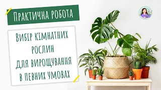 Практична робота "Вибір кімнатних рослин для вирощування в певних умовах"