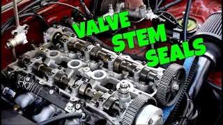 The ULTIMATE Guide To Replacing Valve Stem Seals The Easy Way