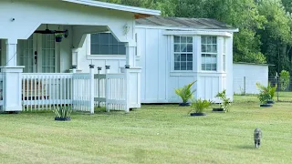 DEMOLISHING AND REMODELING OUR 1970's MOBILE HOME