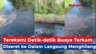 Detik-detik Pria Diterkam Buaya di Kaltara, Diseret lalu Hilang Begitu Saja