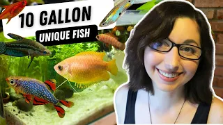 10 Unique Fish For 10 Gallon Fish Tanks | 10 Gallon Aquarium Stocking Ideas