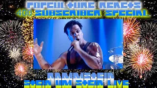 Rammstein - Stein Um Stein Live Reaction - 400 Subscriber Special PopCulture Reacts