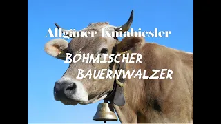 Böhmischer Bauernwalzer - Allgäuer Kniabiesler