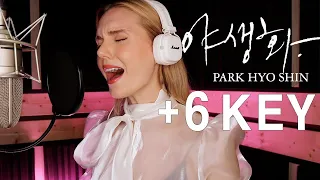 (+6 key) 박효신 (Park Hyo Shin) - 야생화 (Wild Flower) [KOR GIRLCOVER][HAN/ENG/ROMANIZED]