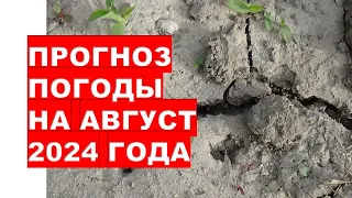 Прогноз погоды на августе 2024 засуха и жара.Weather forecast for August 2024 Sultry heat drought