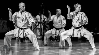 Old School Kyokushin karate compilation