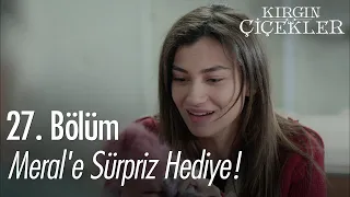 Meral'e sürpriz hediye! - Kırgın Çiçekler 27. Bölüm