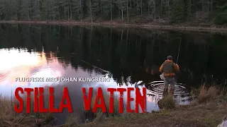 Stilla vatten - Flugfiske med Johan Klingberg (Full Movie - Swedish)