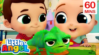 My COOL Little Pet  | Fun Animal Sing Along Songs by Little Angel Animals