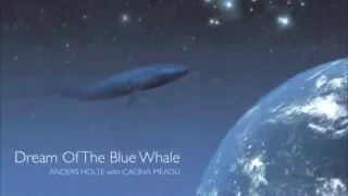 ANDERS HOLTE 安德斯‧霍特【靈魂男聲】藍鯨之夢Dream of the blue whale