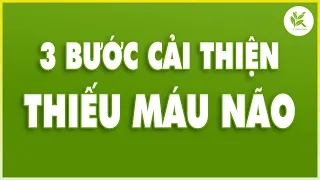 3 Bước CẢI THIỆN THIẾU MÁU NÃO - PHÒNG NGỪA ĐỘT QUỴ - CẢI THIỆN GIẤC NGỦ | TCL