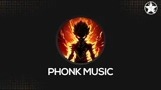 TOP BRAZILIAN PHONK/KRUSHFUNK SONGS MIX 2024 ※ Tik Tok Viral Phonk Playlist #33