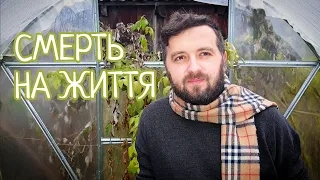 Майтеся файно  /201/ СМЕРТЬ НА ЖИТТЯ #просмерть #словонадень