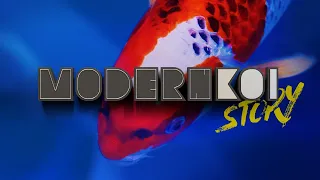 Modern Koi Story 2023 -  Techtalk mit Silvio