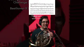 Honestly probably the hardest thing in Beethoven 9 (for the third horn at least)