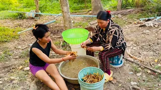 Raw prahok chopped up with herbs and barbecue chicken