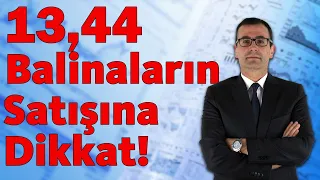 13,44 Balinaların Satışına Dikkat!