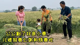 地里的小麦长势喜人，公公割一大筐，儿媳做成麦仁粥和烧麦，农家饭就是香 | porridge with wheat kernels and making siu mai