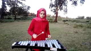 Luis Fonsi - Despacito (GLOCKENSPIEL XYLOPHONE MARIMBA) hafsa moroco